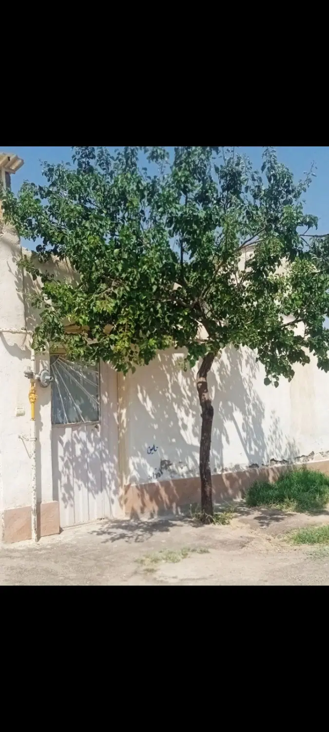 خانه نقلی دلباز
