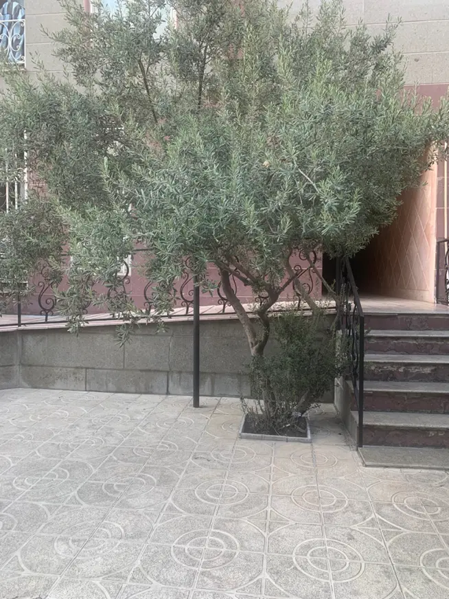۷۰متر دو خواب _جنت اباد جنوب _بازسازی کامل