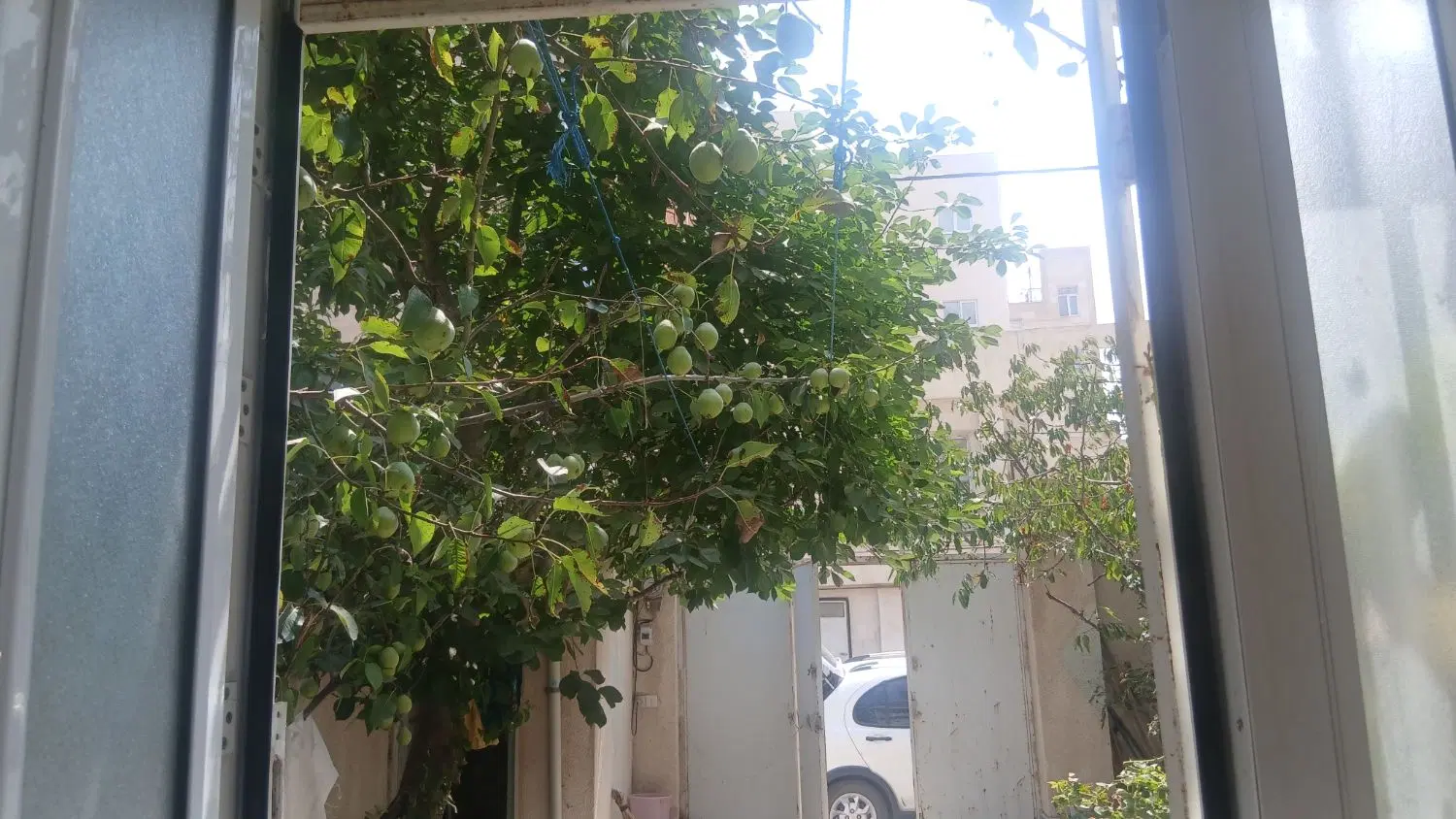 ویلای شهرک بعثت
