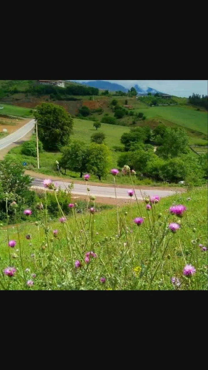 زمین