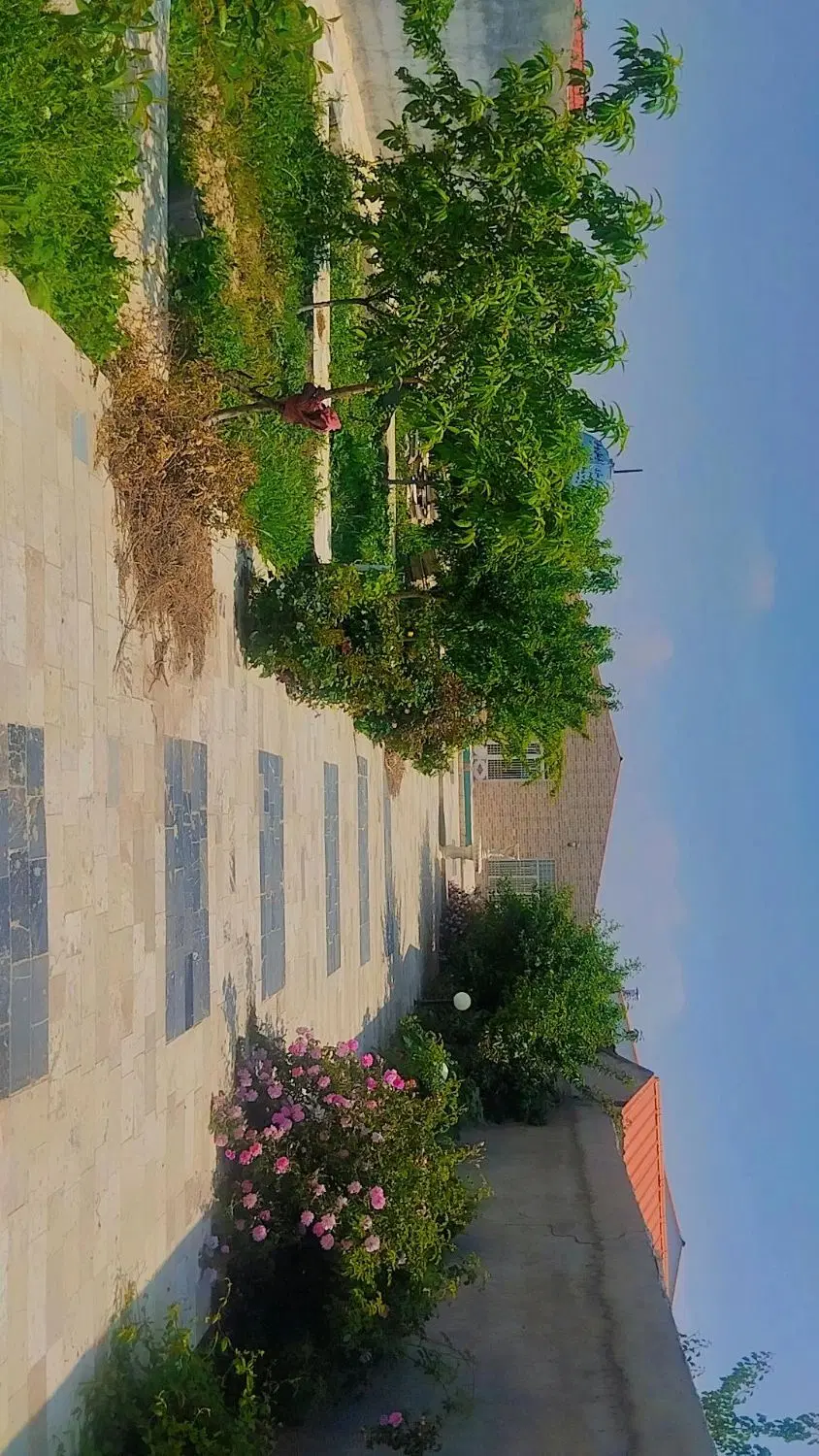 باغ ویلا