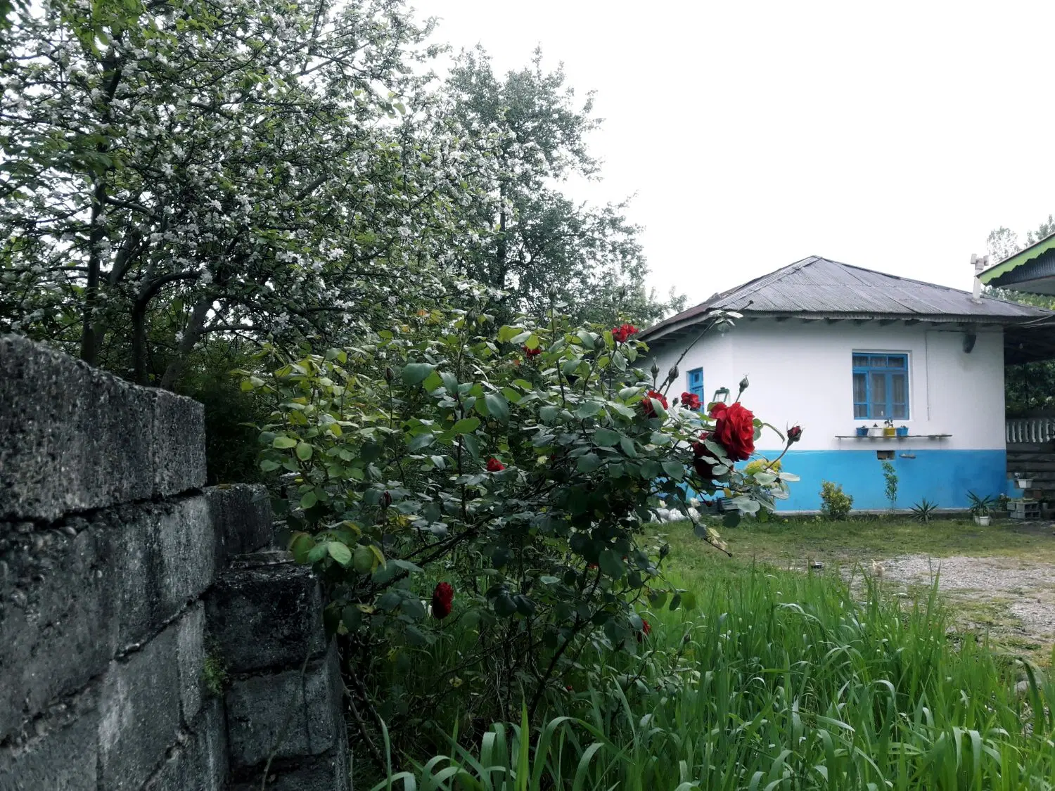 اجاره ویلا روستایی