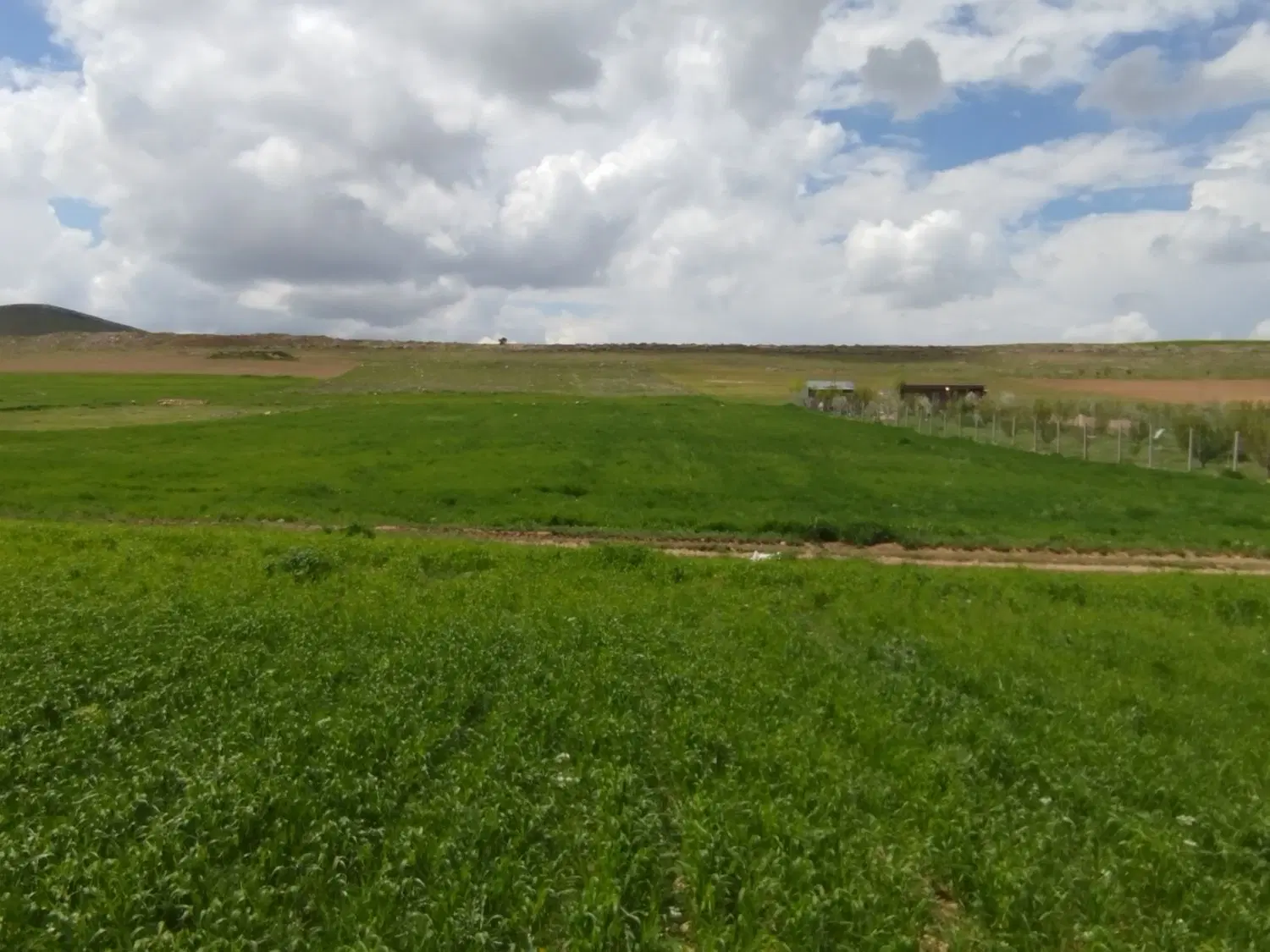 زمین حاج صالح ناصری غیر محدوده