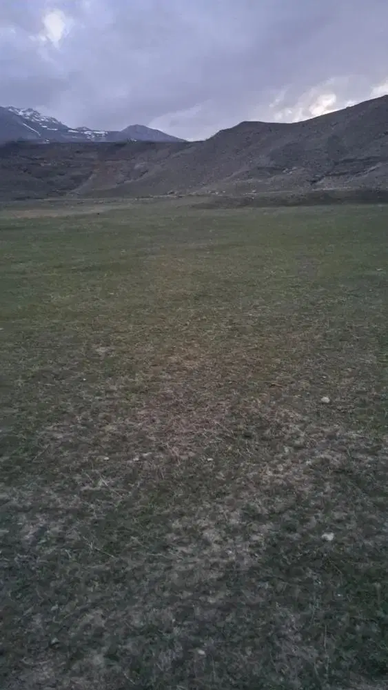 زمین خالی محمدکندی