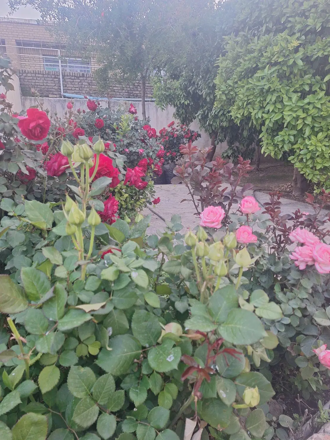 ویلایی مرکز شهر ایذه