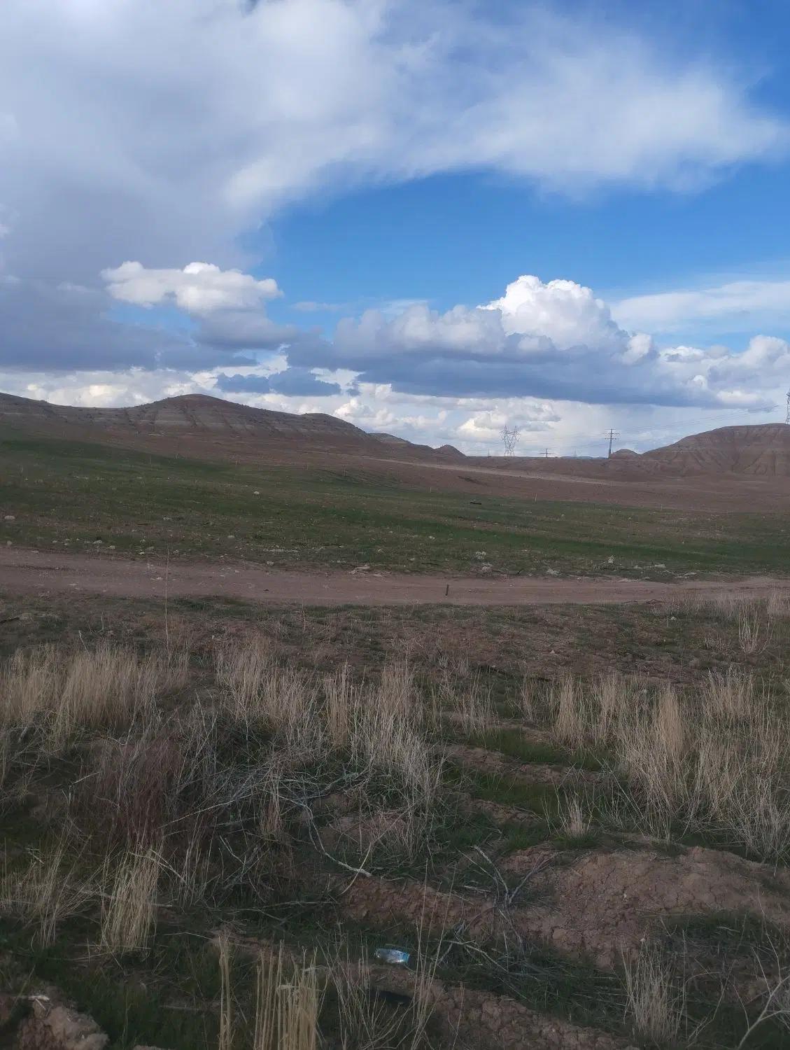 زمین برای گوجه
