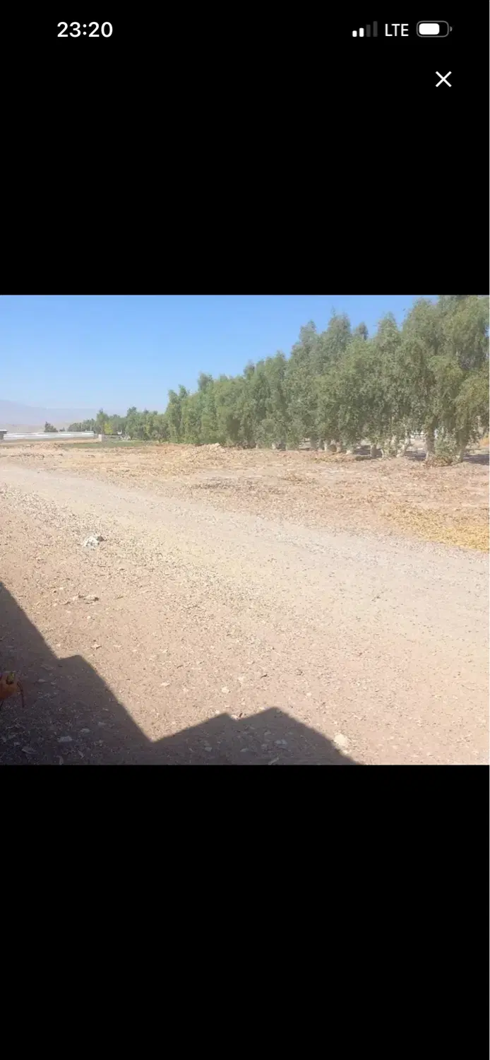 زمین کشاورزی محمود اباد خورین قره بولاغ