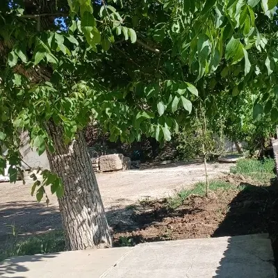 مسکونی،آپارتمان