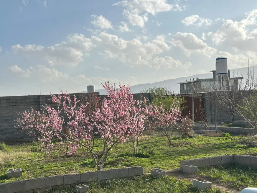 باغ شهری سیاخ