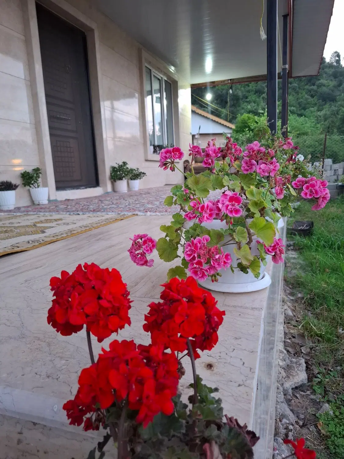 اجاره روزانه ویلای جنگلی