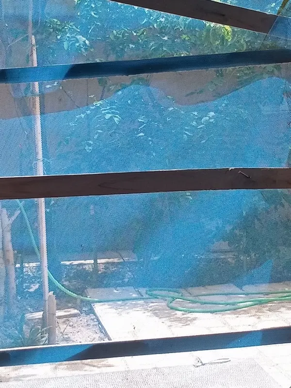 معاوضه زمین با طلا