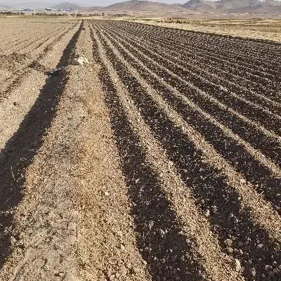 زمین مسکونی نقنه
