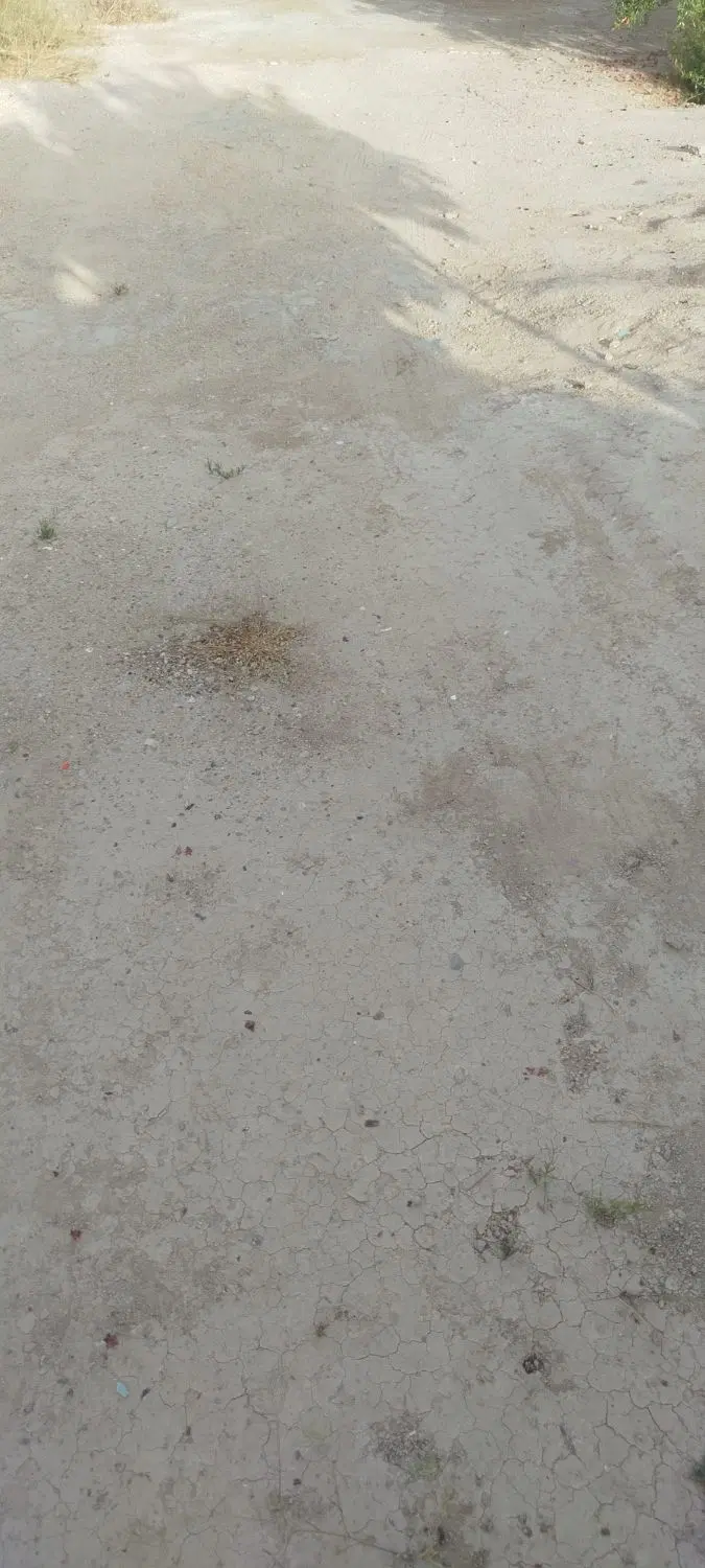 فروش زمین مسکونی روستای فیروزی