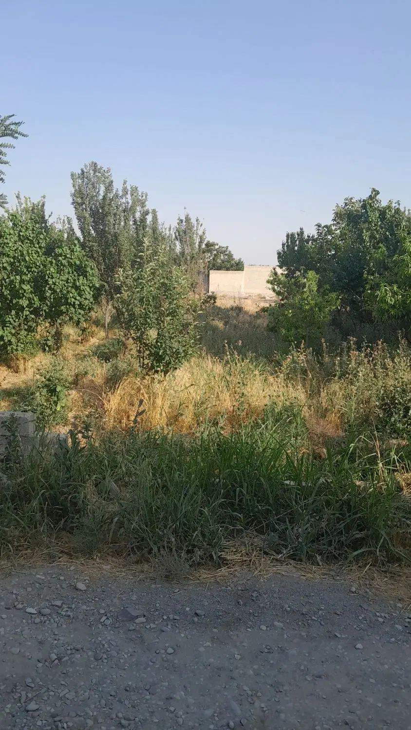 ۳۰۰مترباغچه چسب بافت مسکونی