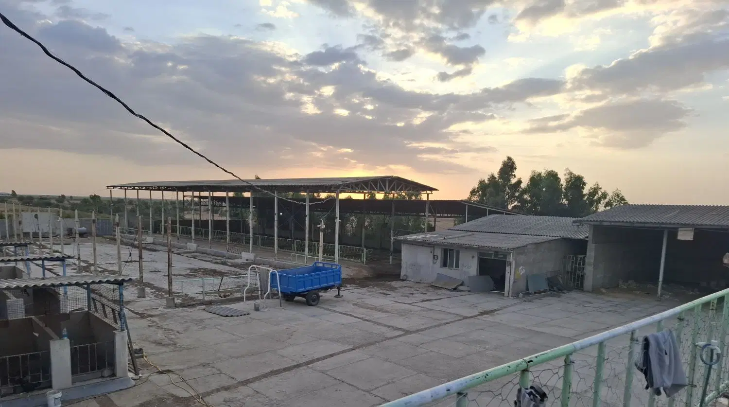 اجاره دامداری