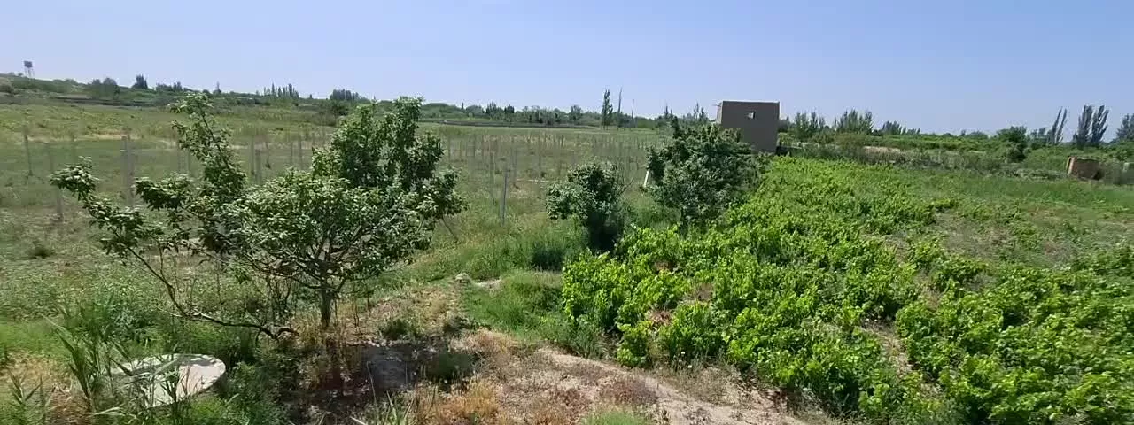 باغ ۵.۵۰۰ متری سند دار، جاده چیچست