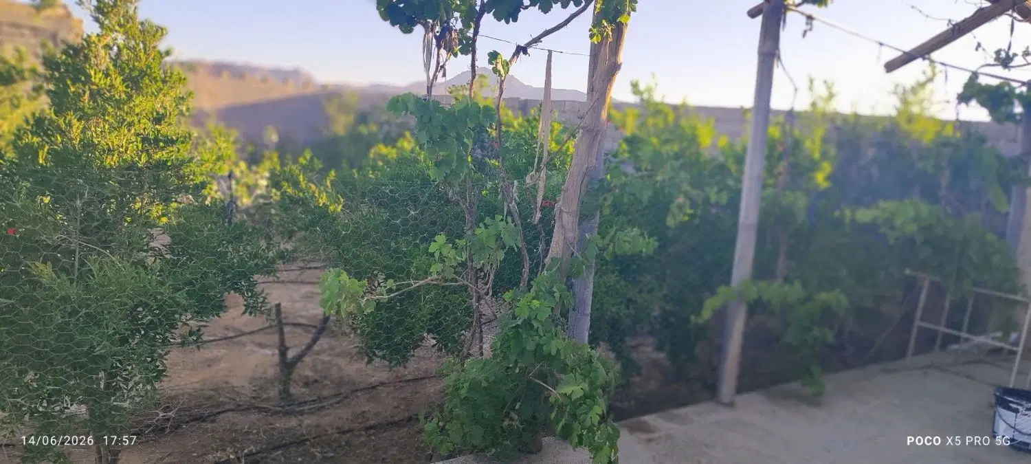 باغ چهار دیواری نجف آباد به فولاد شهر
