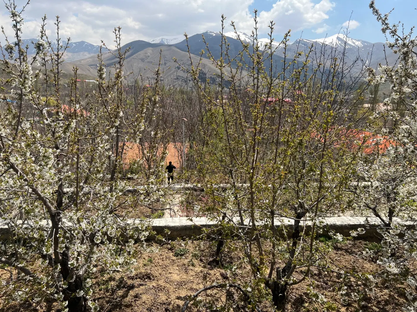 زمین کاربری باغ شهر پول