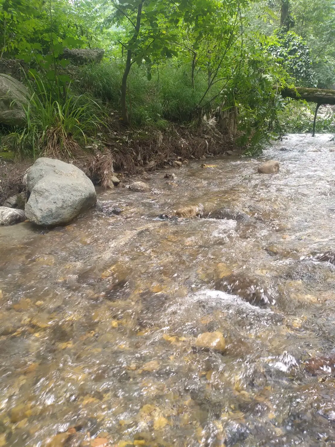 ۲۰۰ متر زمین باغی شموشک پایین