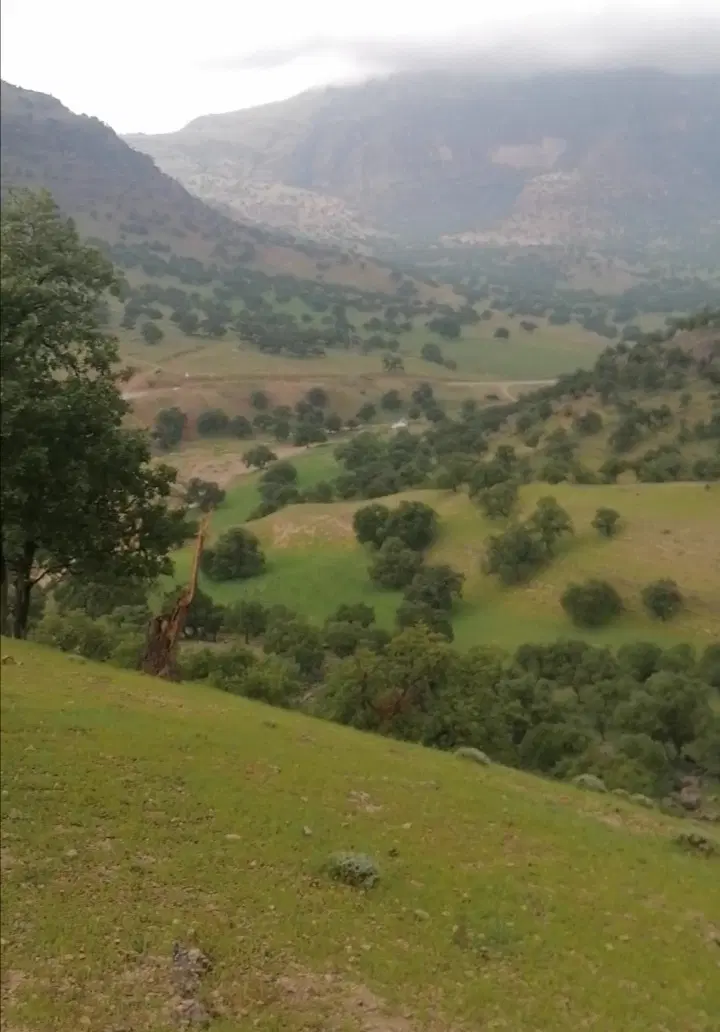 زمین ملک روستایی