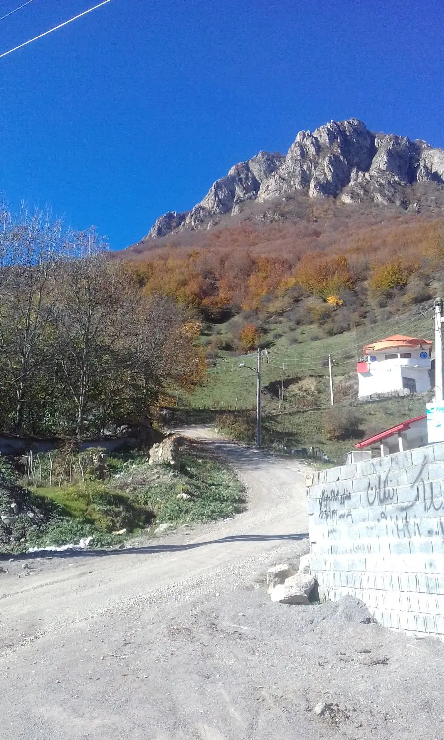 زمین