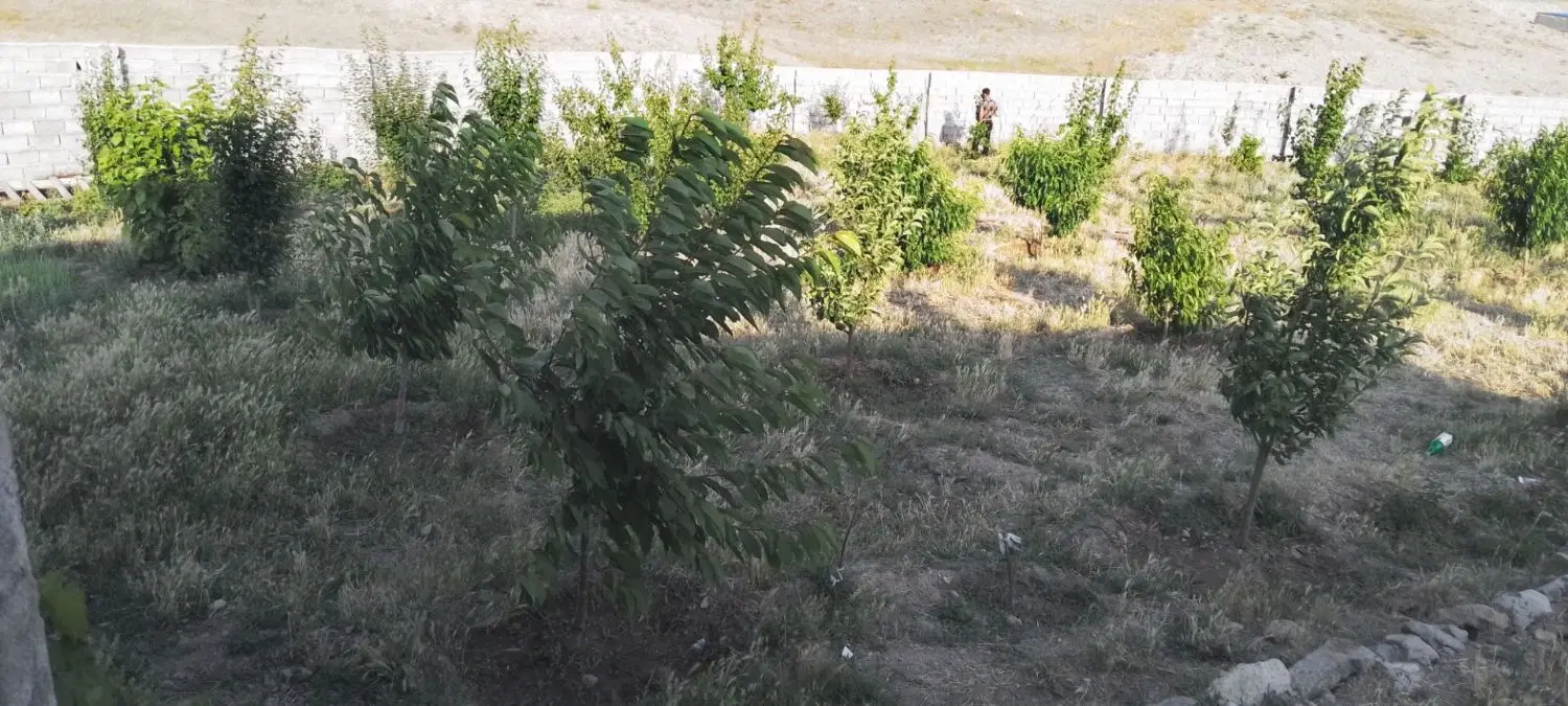 باغ فروشی