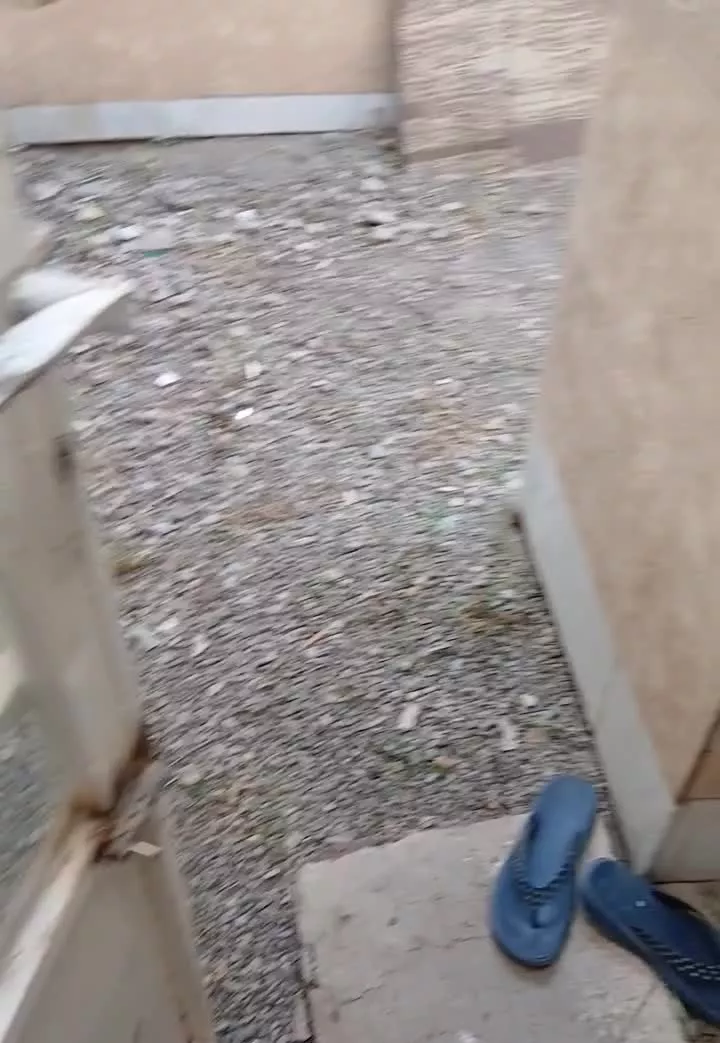 باغ