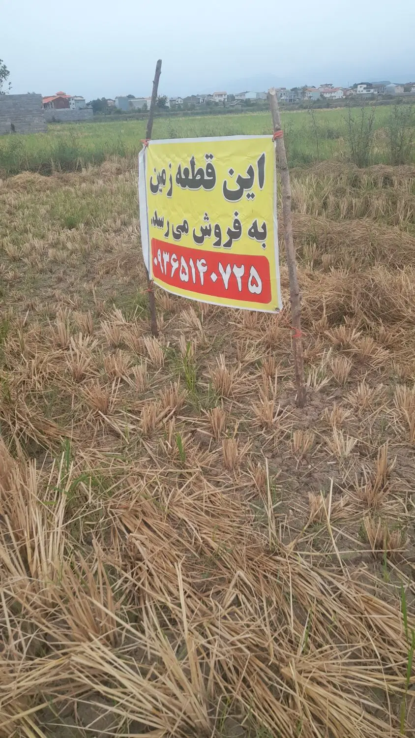 زمین زراعی