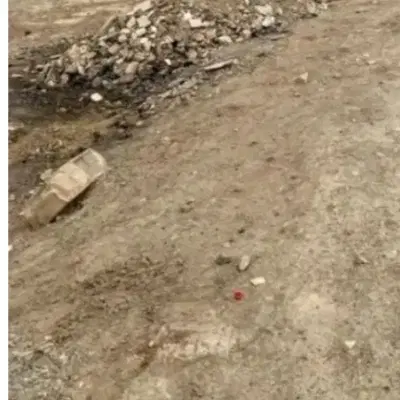 زمین دانشگاه بیست راه داره هم از بهار