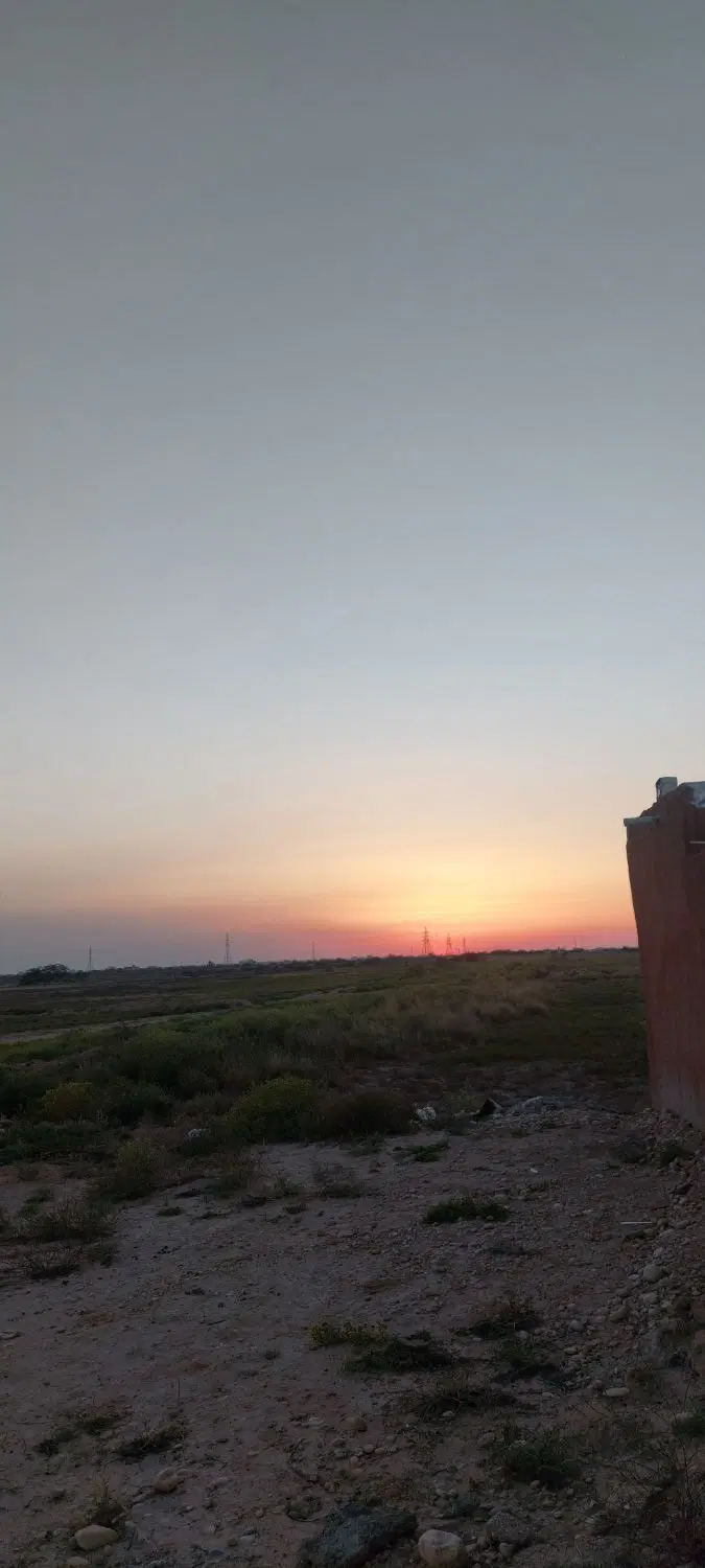 زمین گناوه پشت بیمارستان امیر المومنین