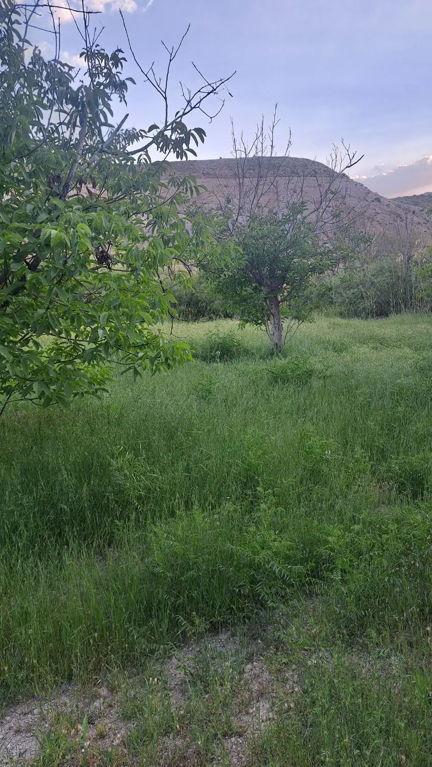 خانه باغ ۷۷۳ متر روبه روی پارک کوثر