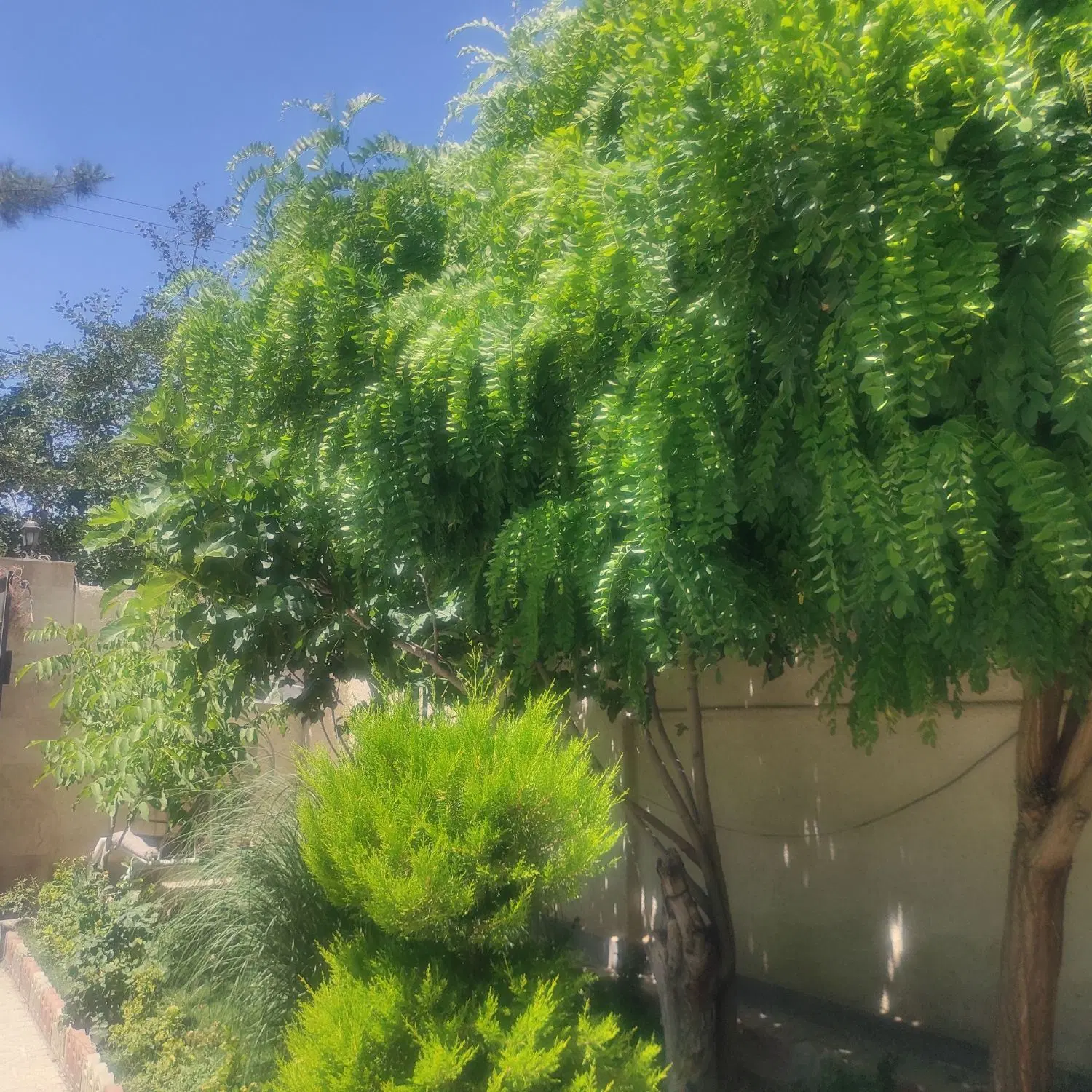 500مترمسکونی ویلایی بازمرگان عسگریه املاک پارس