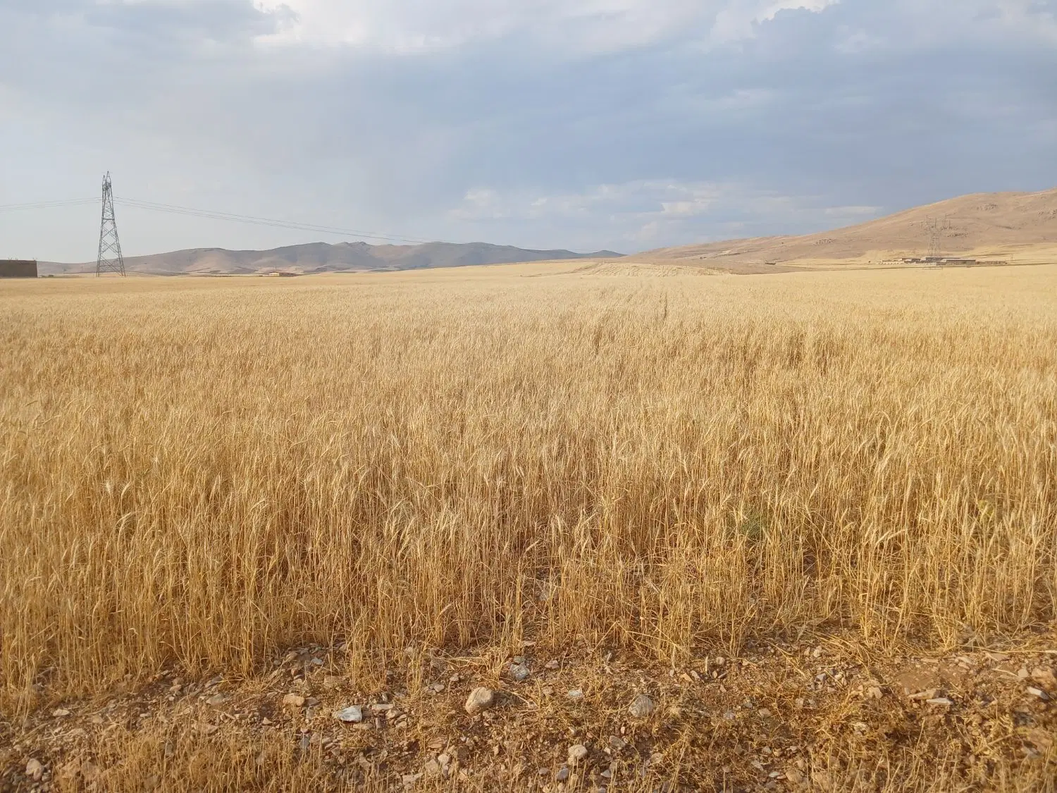 زمین بر اتوبان