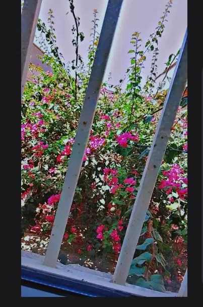 خانه اجاره‌ای