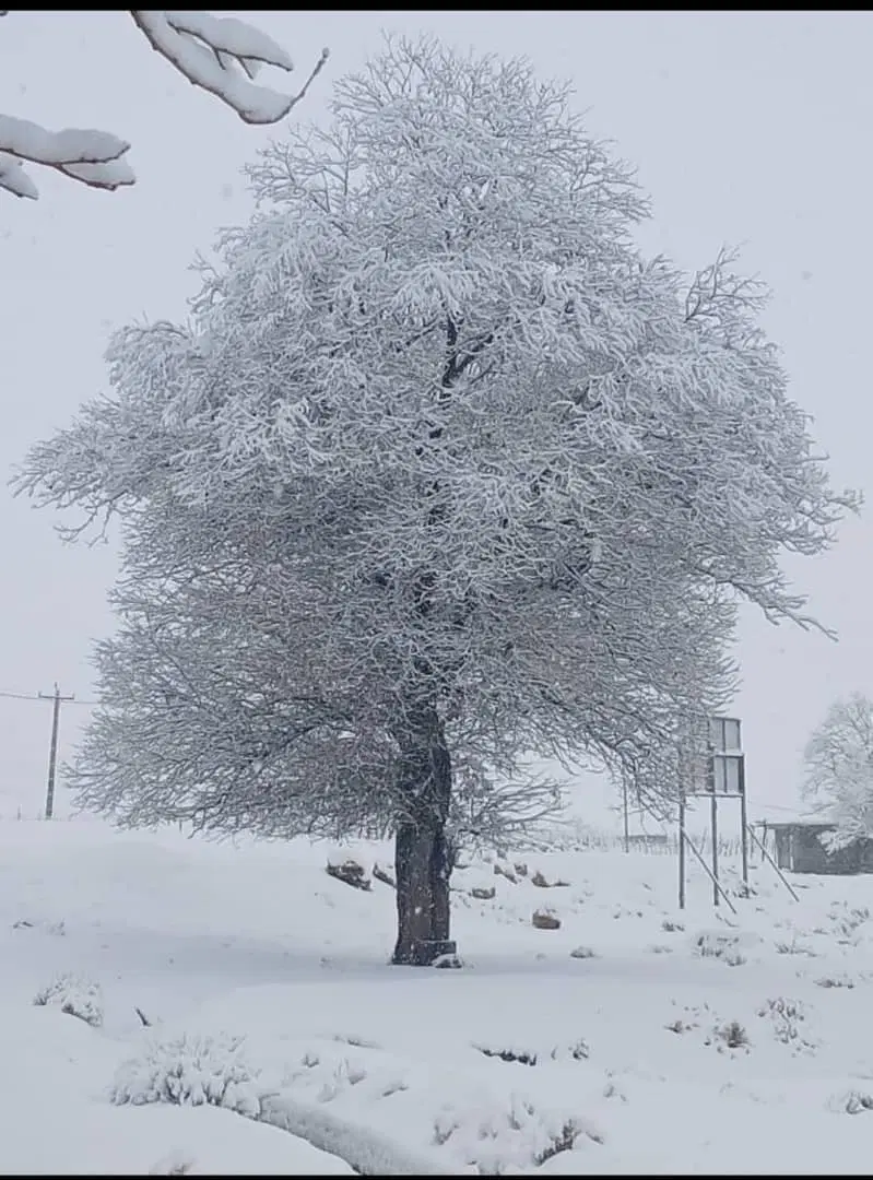 زمین دره لبک