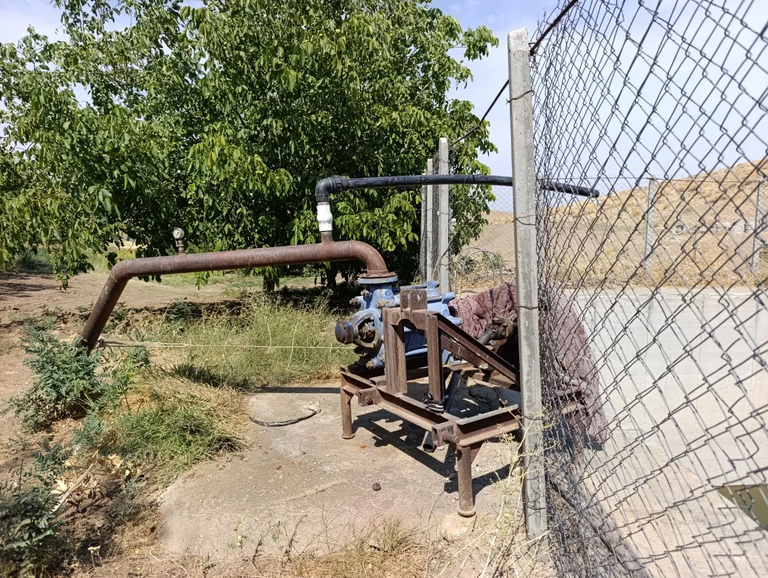 اجاره زمین کشاورزی بارانی