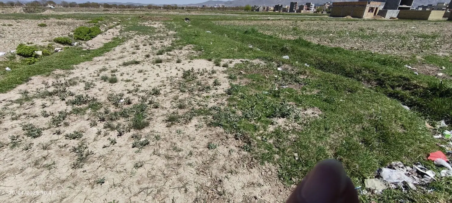زمین فروشی نامیله