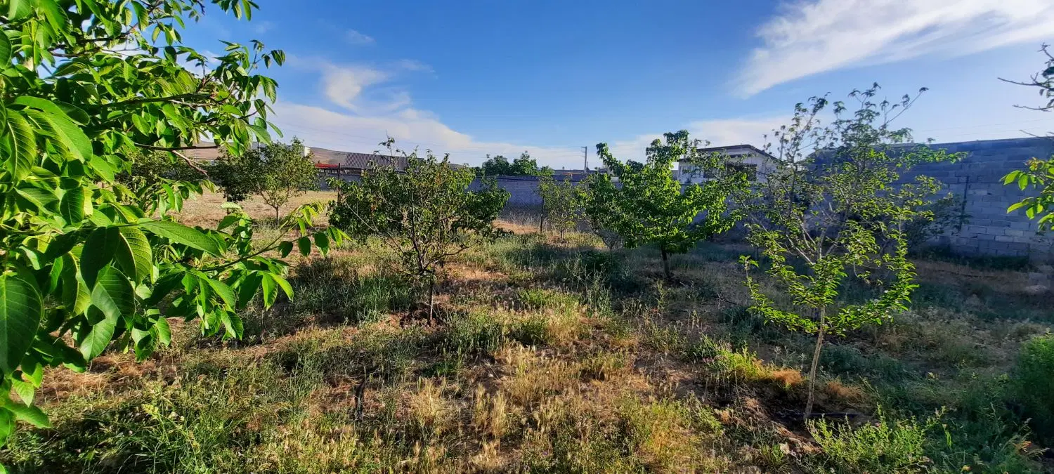زمین در روستای زان دماوند