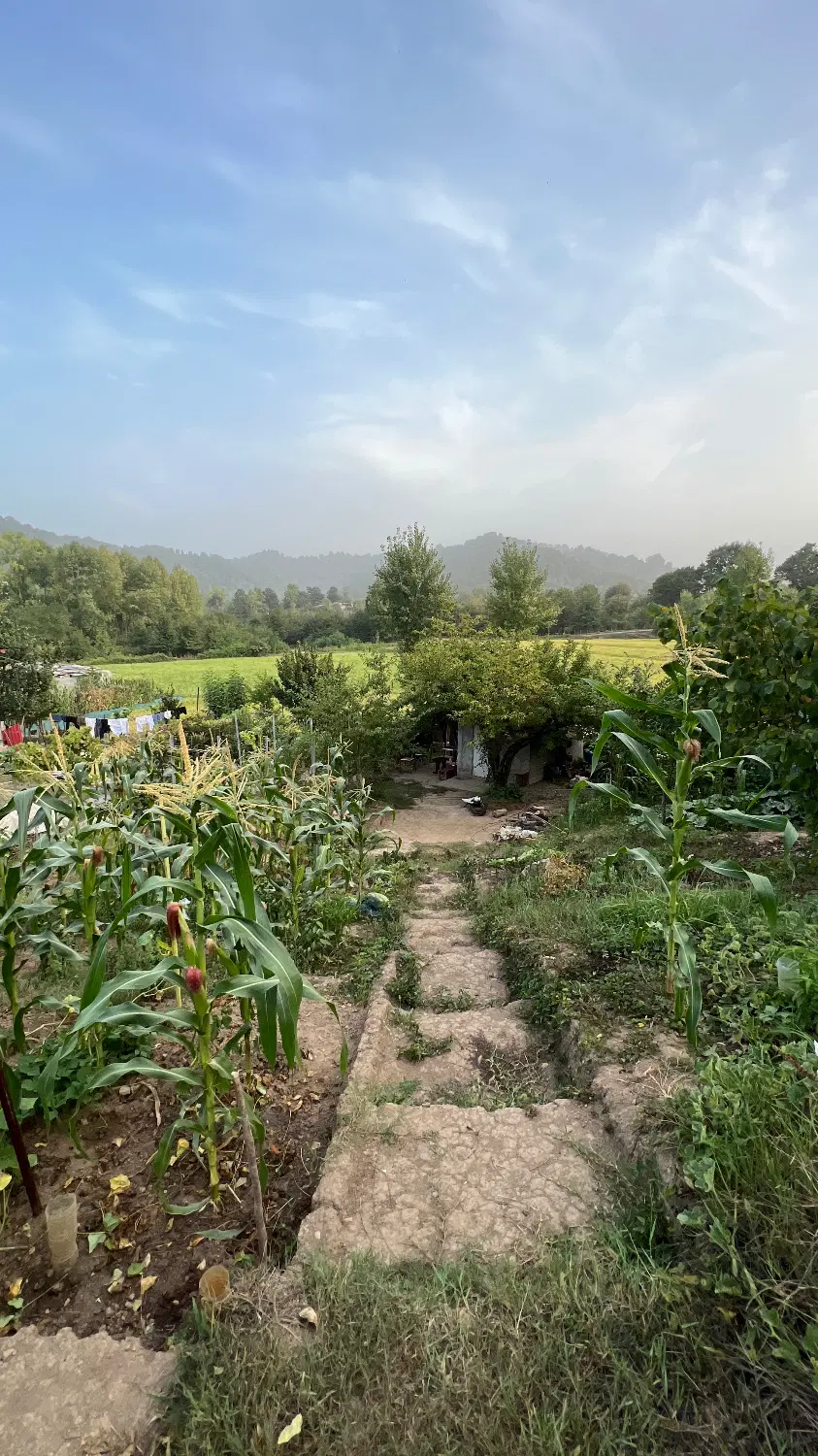 فروش زمین ویلایی ۴۰۰ متری در روستای هودول