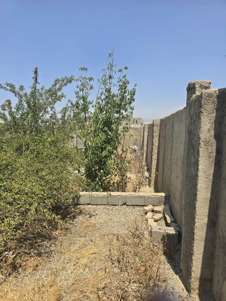 فروش زمین فوری شهرکی کاربری مسکونی ۴دیواری با درخت