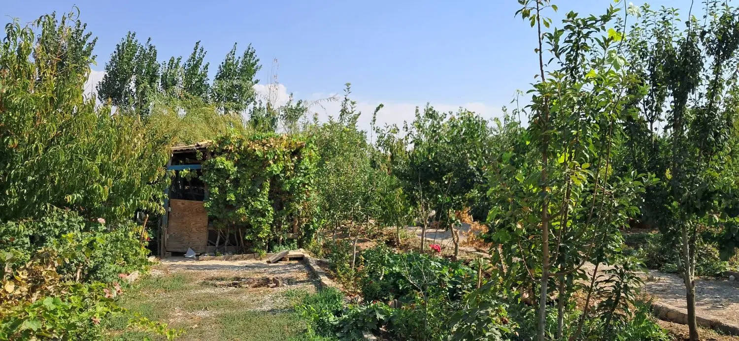 باغچه ۵۱۰ متری