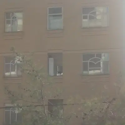 همخانه