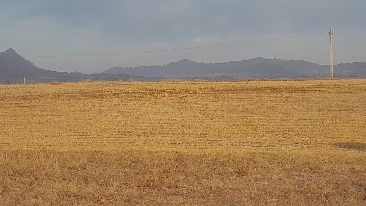 زمین کشاورزی بارانی سرچاه