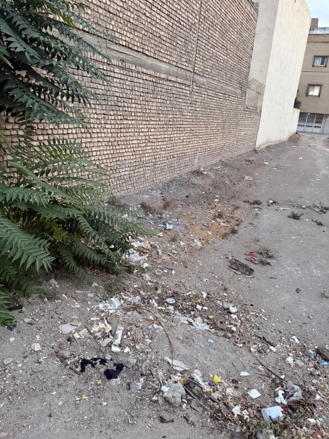 زمین
