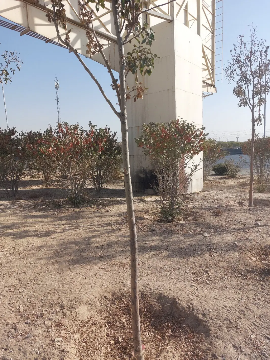 فروش یک هکتار زمین در محدود شهر بر اتوبان کرج