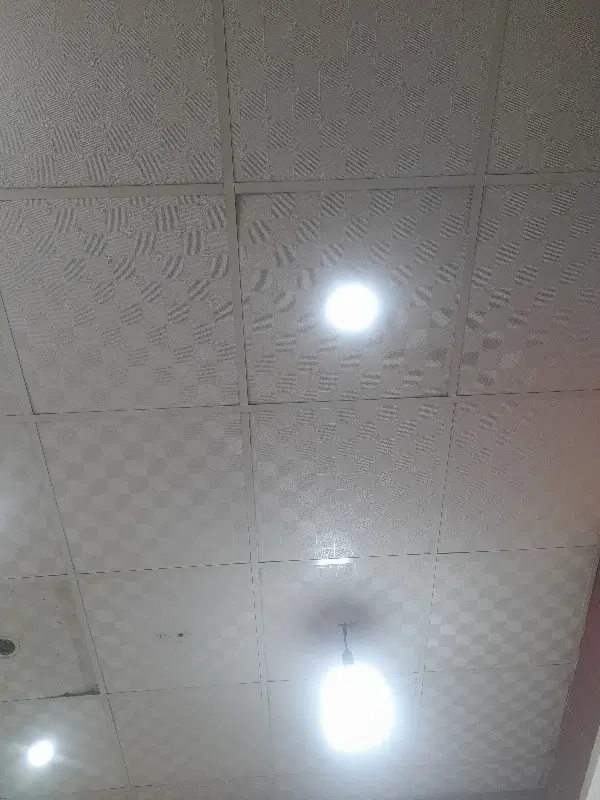 هم خونه خانم