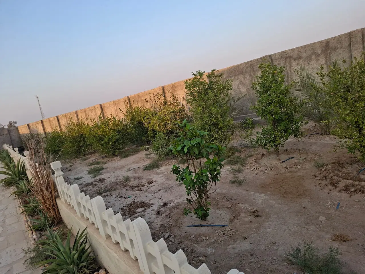 زمین باغی بهارستان