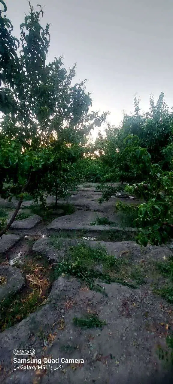 چهار دیواری موسیان