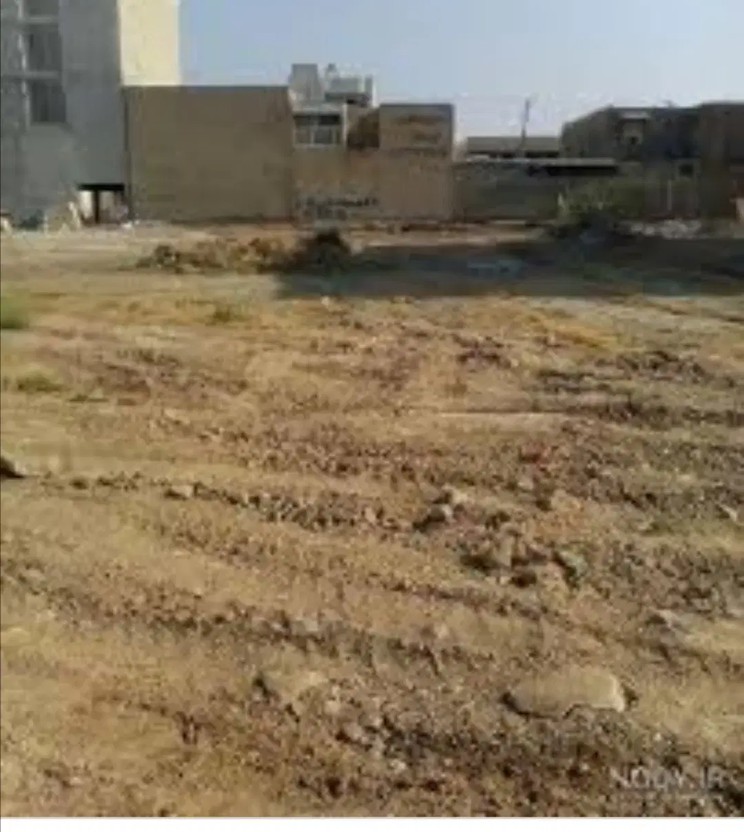 زمین گورک سلیمانی
