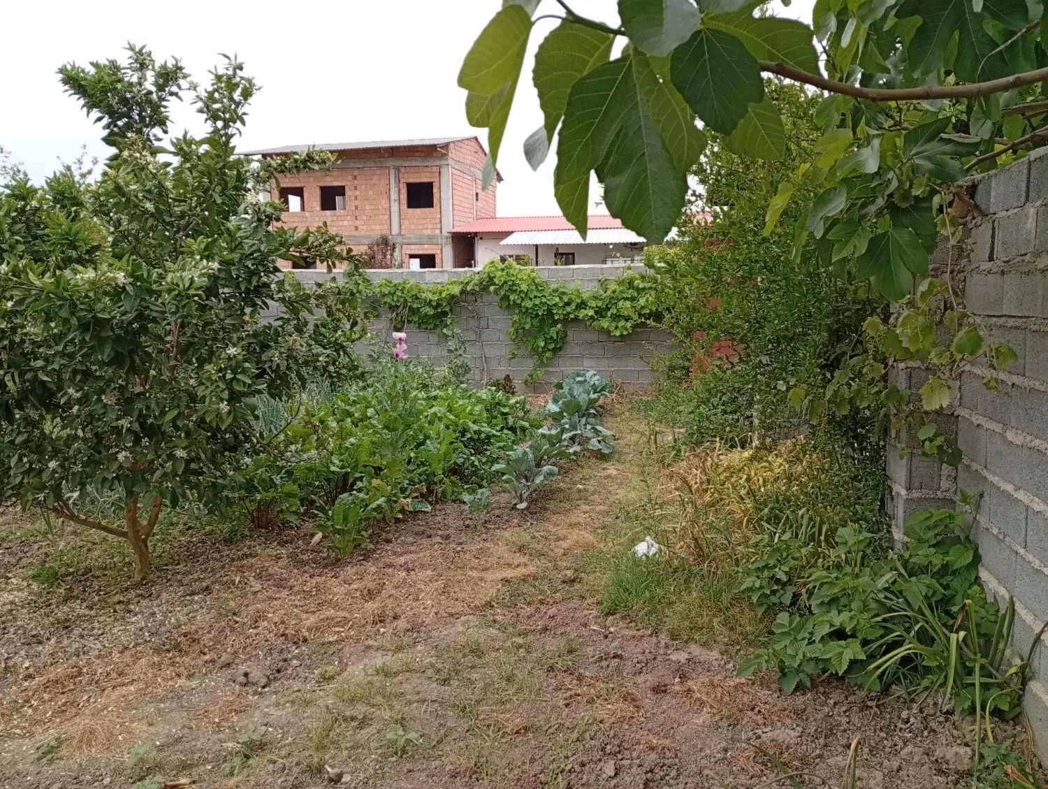 فروش زمین ب متراژ ۲۰۰ متر
